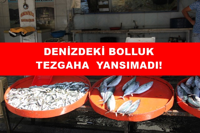 Denizdeki Bolluk Tezgaha Yansımadı