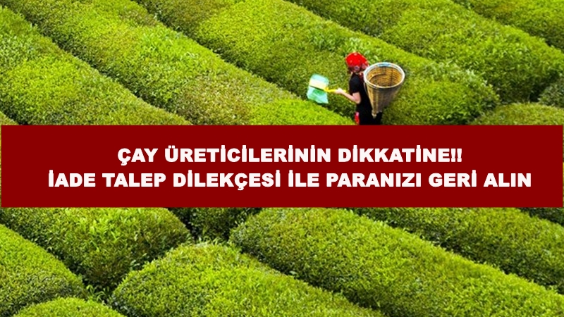 Çay üreticilerinin dikkatine iade paralar için son tarih 30 aralık