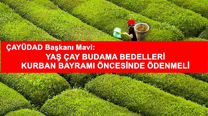 Yaş Çay Budama Bedelleri Kurban Bayramı Öncesinde Ödenmeli