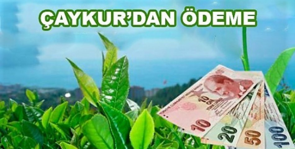 ÇAYKUR, EYLÜL AYI YAŞ ÇAY PARALARINI ÖDÜYOR!