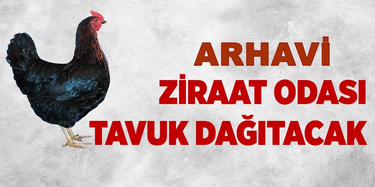 Arhavi Ziraat Odası Tavuk Dağıtacak