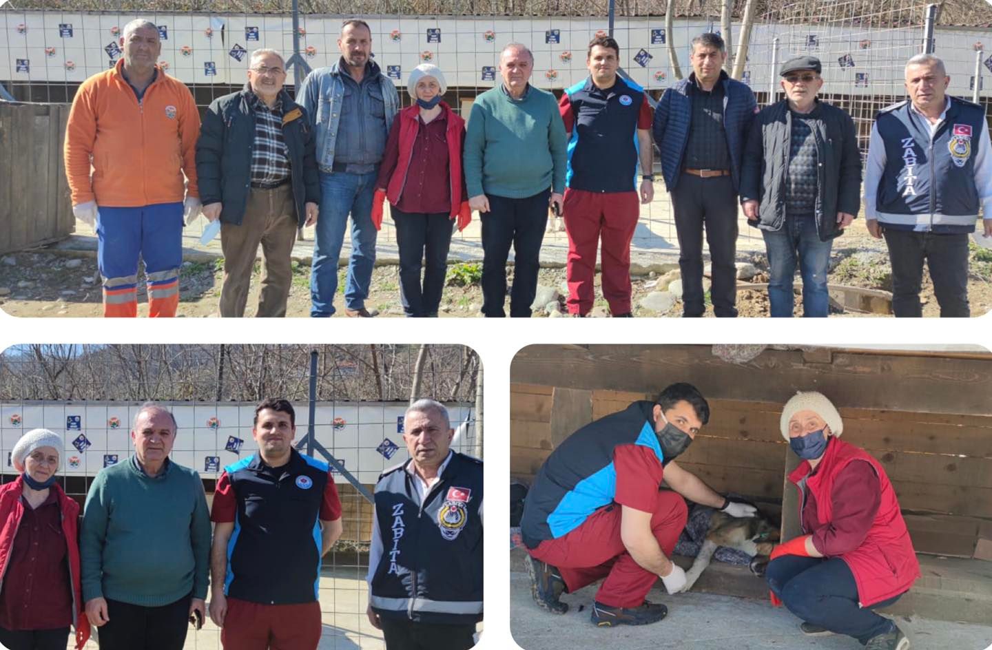 Trabzon Büyükşehir Belediyesi Sahipsiz Sokak Hayvanlarını Kısırlaştırmak için arhaviye geldi.