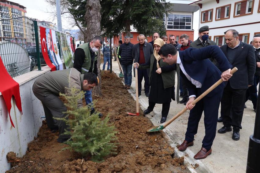 Dünya Ormancılık Günü ve Orman Haftası kapsamında fidanlar toprakla buluşturuldu