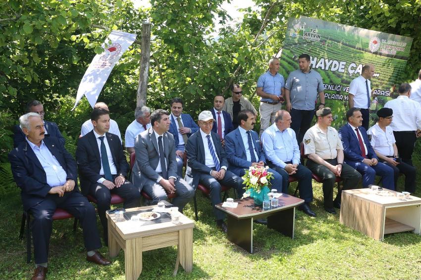 Çay Hasat Şenliği ve Okullar Arası Çay Toplama Yarışması düzenlendi