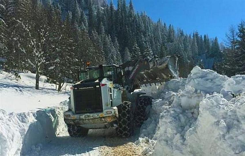 Artvin Orman Bölge Müdürlüğü orman bakımları konusundaki çalışmalarını aralıksız olarak sürdürüyor