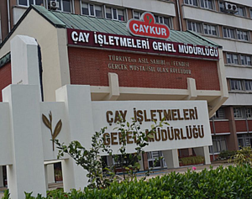 ÇAYKUR Mayıs Ayı Çay Paralarını Üreticilerin Hesaplarına Aktardı