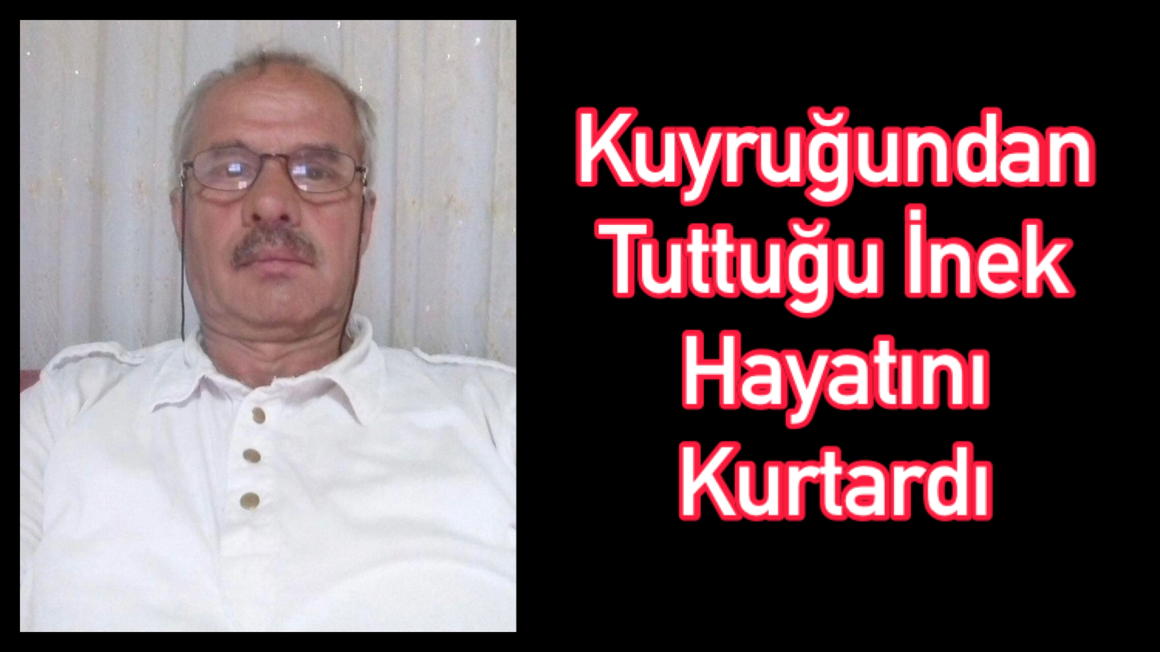 Kuyruğundan Tuttuğu İnek Hayatını Kurtardı