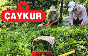 Temmuz Ayı Çay Parası ile Organik Fark Ücreti Ödeniyor