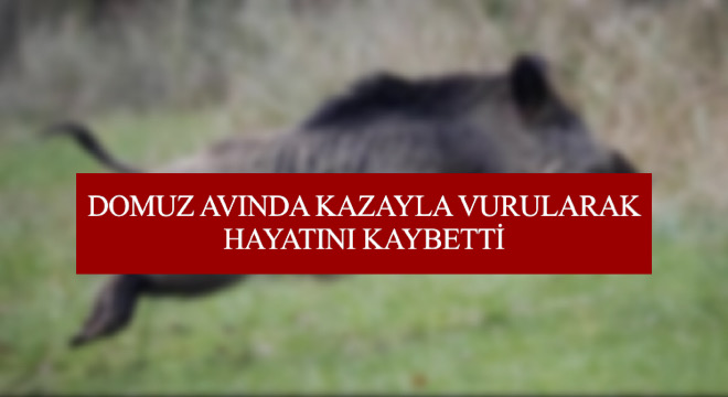 DOMUZ AVINDA KAZAYLA VURULARAK HAYATINI KAYBETTİ