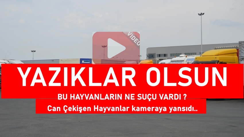 Yazıklar Olsun