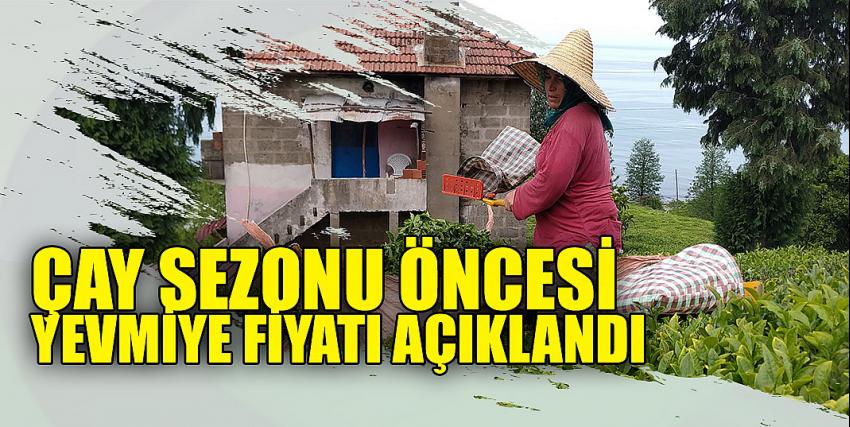 Artvin ve Rize İlinde 2022 Yili Çay Hasadinda Çalişacak İşçilere İlişkin Konulara Ait Tavsiye Kararları