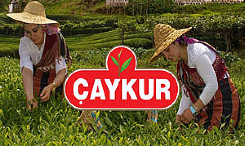 ÇAYKUR 3. SÜRGÜN KOTASINI BELİRLEDİ. ÇAY PARALARI ÖDENİYOR