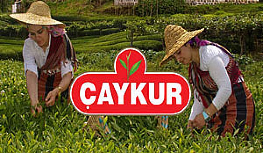 Tebliğ Yayımlandı. Yaş Çay Budama Parası Bugün Ödenecek