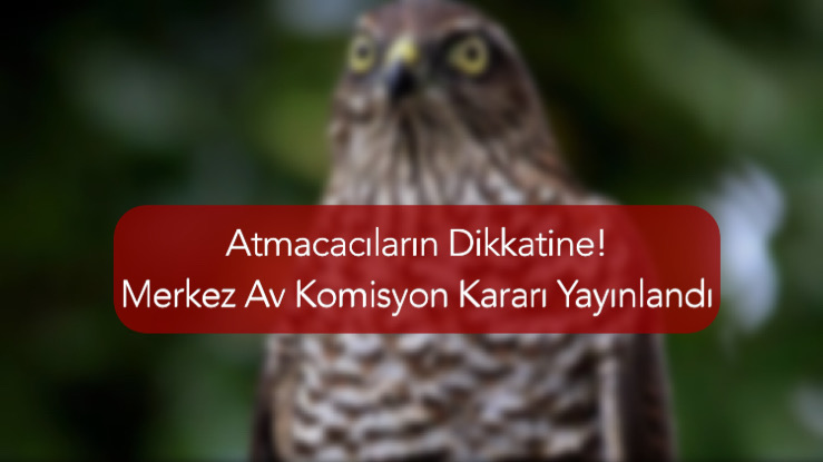 Atmacacıların Dikkatine! Merkez Av Komisyon Kararı Yayınlandı