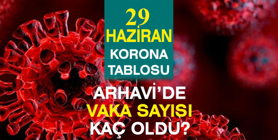 Arhavi Güncel Vaka Sayısı 29.06.2021