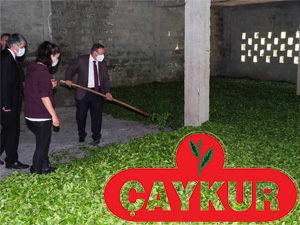 ÇAYKUR 3. SÜRGÜNÜ AÇIYOR