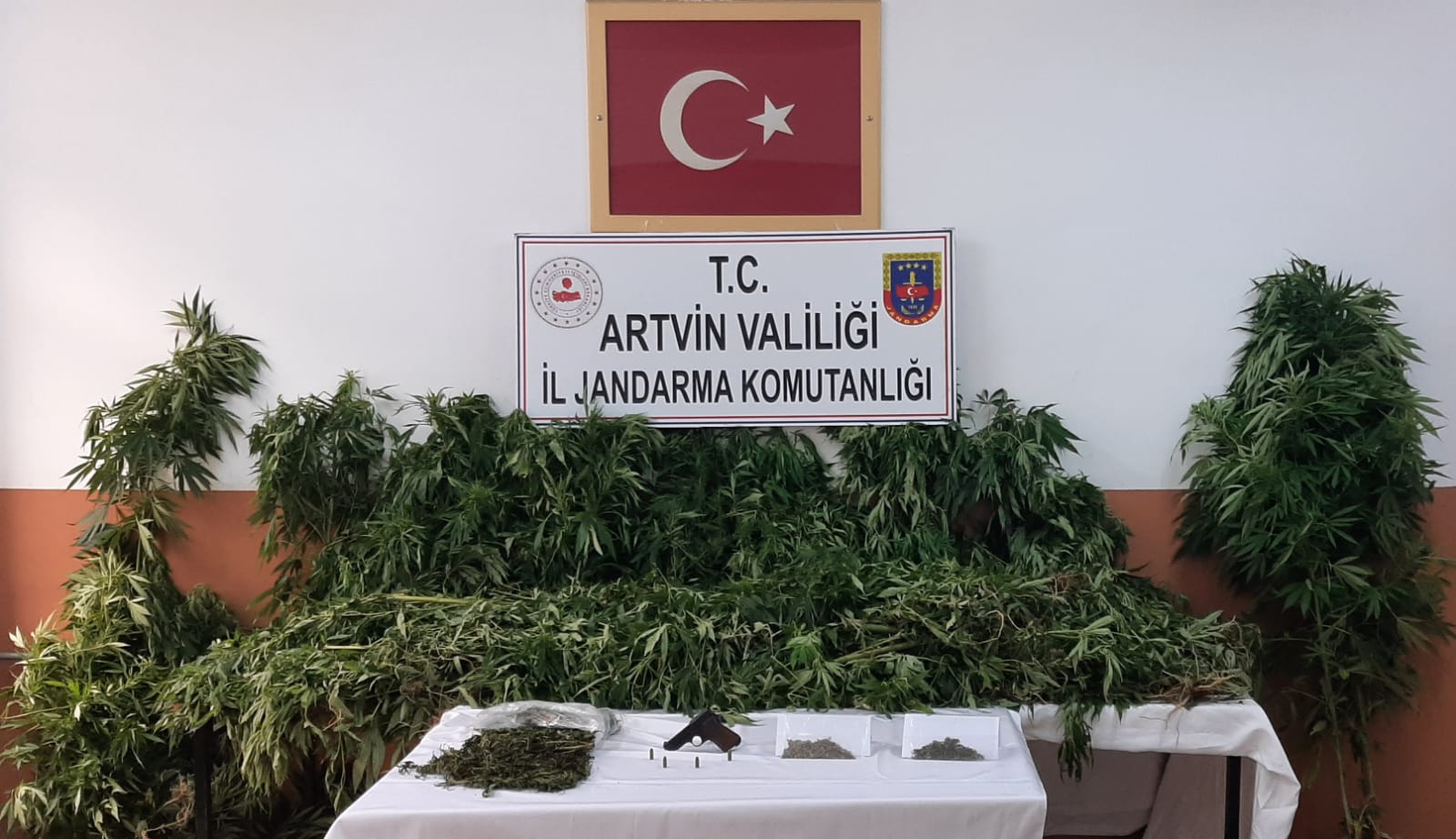 Artvin'de Jandarmadan Uyuşturucu Operasyonu