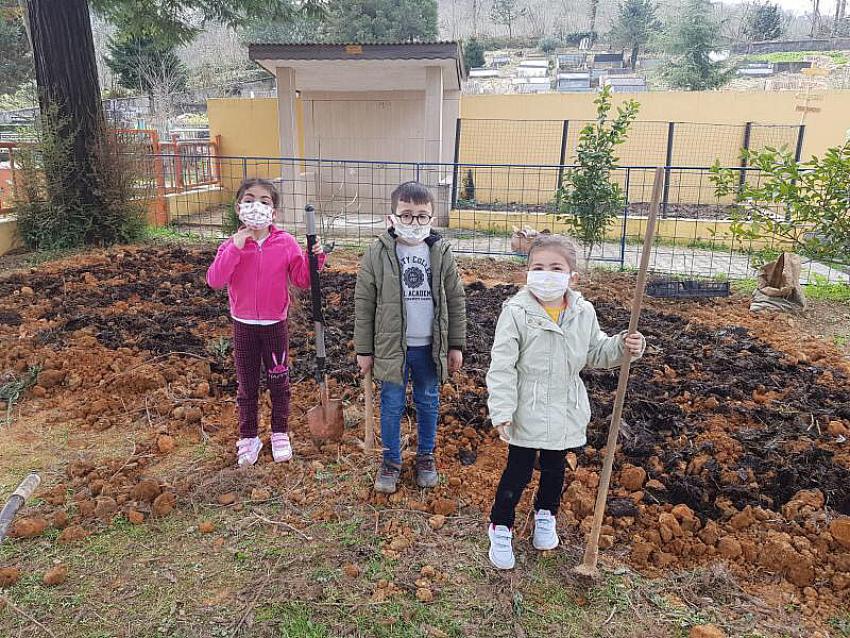 Minik Öğrencilerin Okul Bahçesindeki Hasat Heyecanı