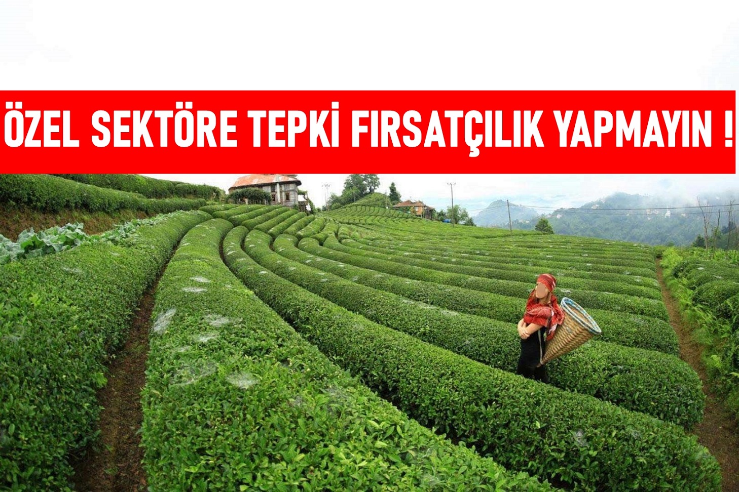 Çay Özel Sektörüne Tepki Fırsatçılık Yapmayın.!