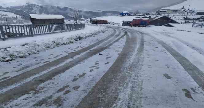 Artvin-Ardanuç-Ardahan karayolu kar nedeniyle ulaşıma kapandı