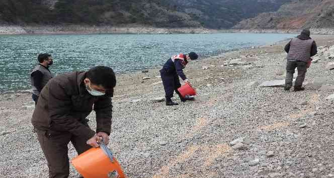 Artvin'de “2 Şubat Dünya Sulak Alanlar Günü” nedeniyle yemleme yapıldı