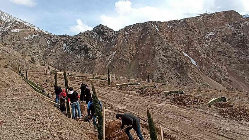 Yeni Yusufeli kadınların eliyle yeşilleniyor