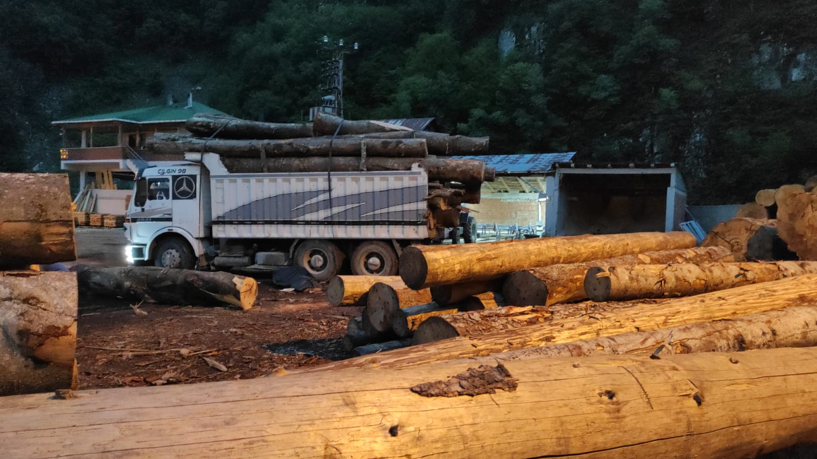 Borçka’da kamyon kasasından üzerine tomruk düşen bir kişi hayatını kaybetti.