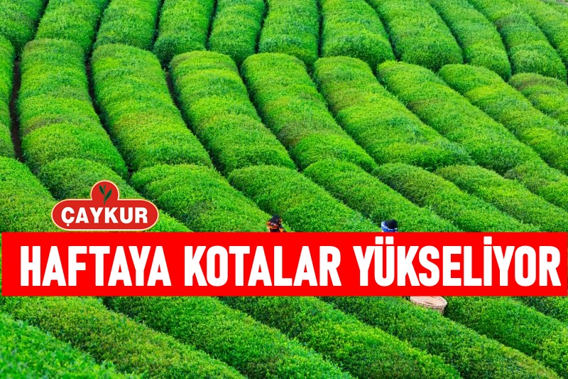 Çaykur Yeni Basın Açıklaması