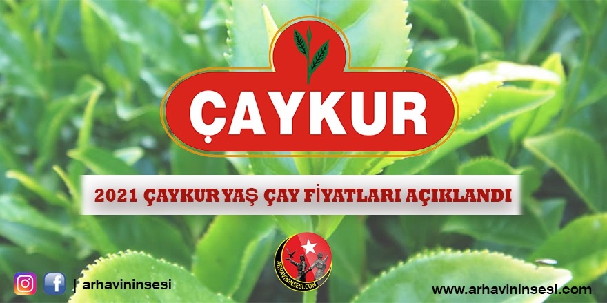 Sondakika Çaykur Çay alım fiyatını Açıkladı.