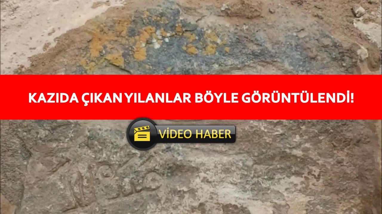 Yapılan Kazı Sırasında Çıkan Yılanları öldürmek isteyen işçiye tepki 