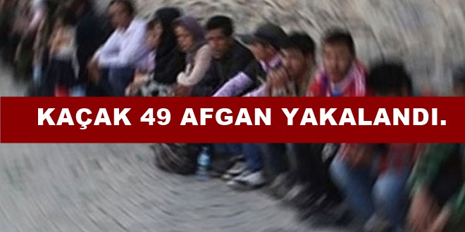 Artvin'de 49 düzensiz göçmen yakalandı