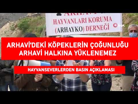 Arhavi'deki Köpeklerin Çoğunluğu Arhavi Halkına Yüklenemez