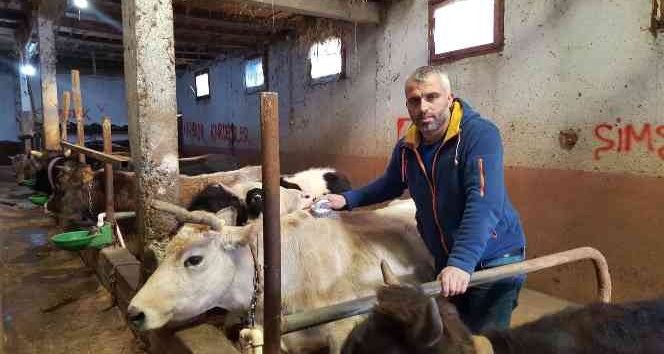 Köy muhtarı köye dönüş yapanlara inek desteğinde bulundu