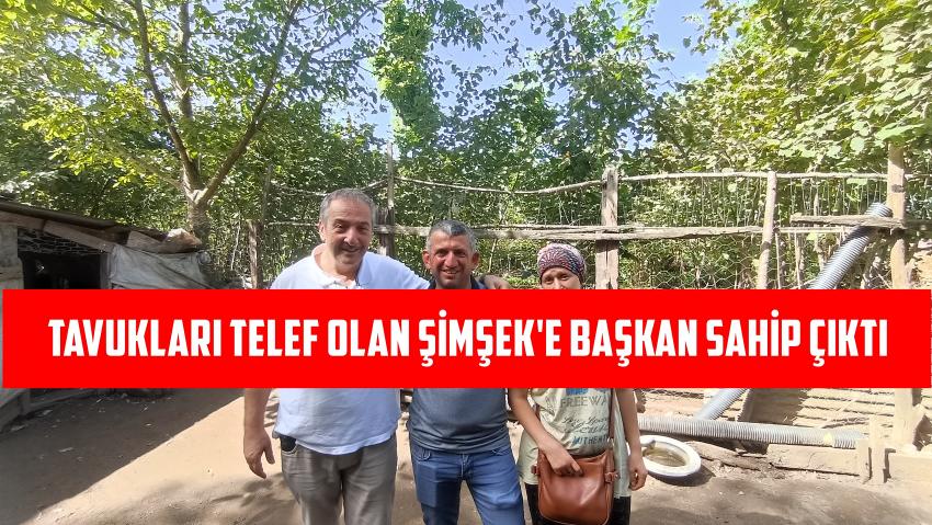 Nurettin Şimşek'e ait Telef Olan tavukların bir kısmını başkan ödedi