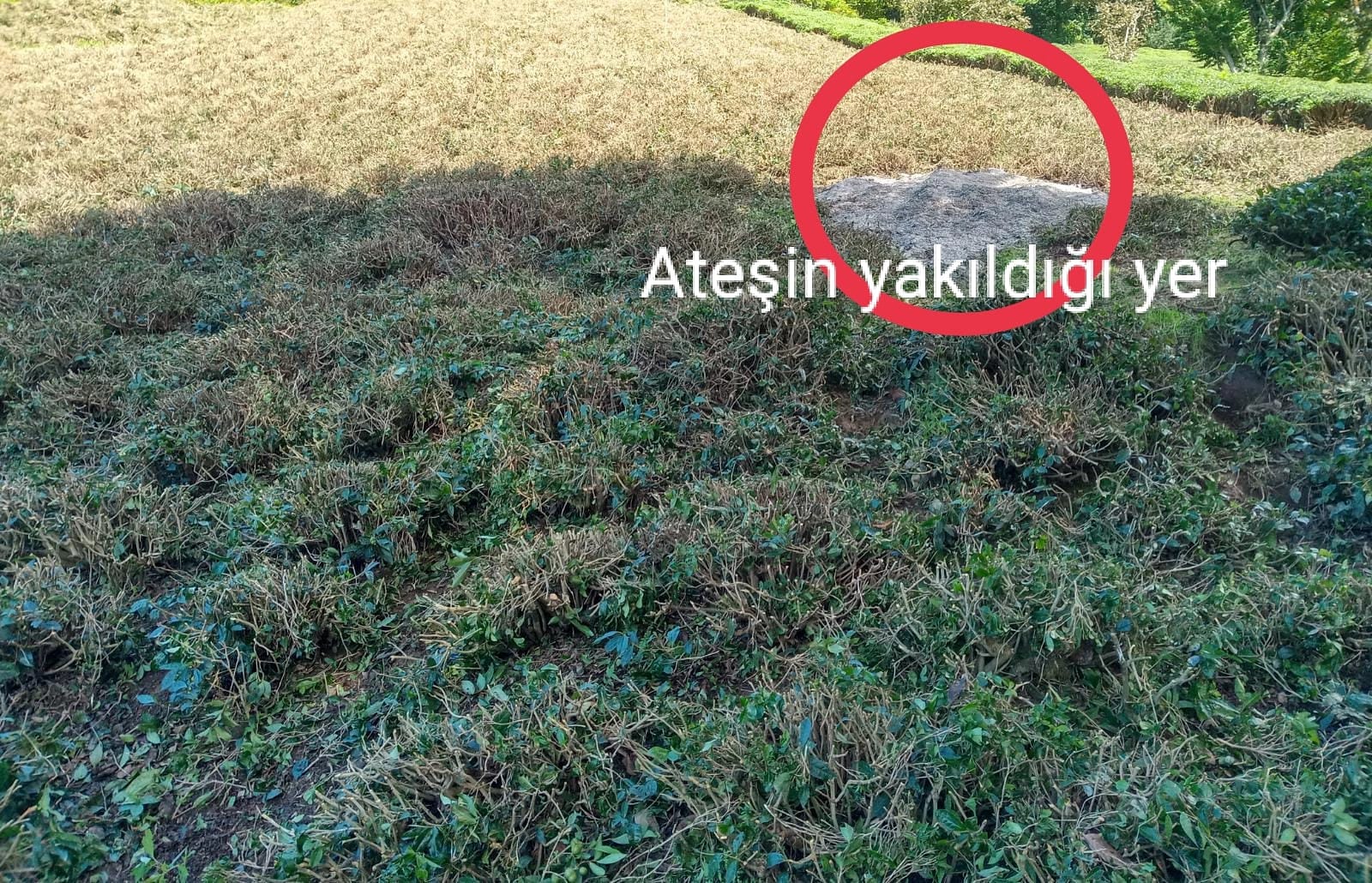 Yolgeçen (Lome)'de Ateş Yaktı Başına Gelmeyen Kalmadı